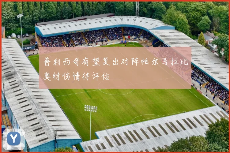 普利西奇有望复出对阵帕尔马拉比奥特伤情待评估